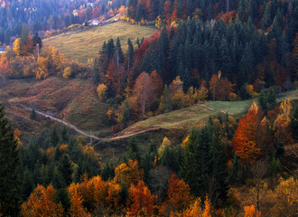 Village Houses and autumn foliage trees in the mountains