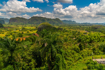 Vinales Valley site in  Pinar del Rio of Cuba