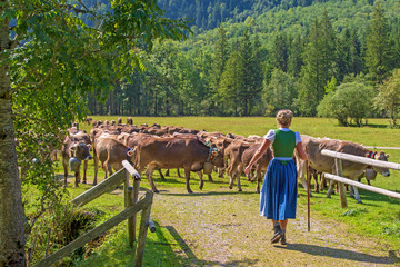 Allgäu - Viehscheid - Bad Hindelang - Mädchen