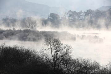 Trees and reeds are covered with snow, and the river has water mist. Soyang River, Chuncheon City, Korea