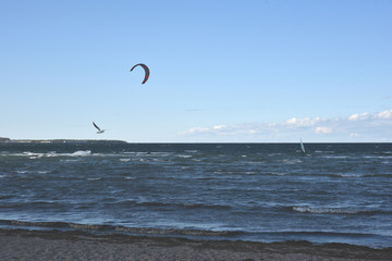 Kitesurfen, Windsurfen, Möwe - an der Ostsee in Mecklenburg-Vorpommern