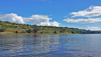 Botswana. Calm river. Clouds are reflected in blue water. On the shore of green grass, trees. Silence. Peace.