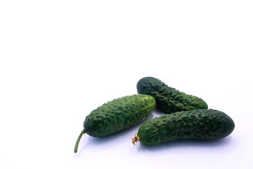 Photo of young cucumbers on a white background, close-up