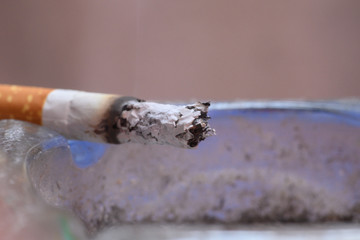 Abstract background, close-up picture of dung and cigarette butts