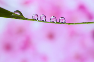Natural water droplets on the background