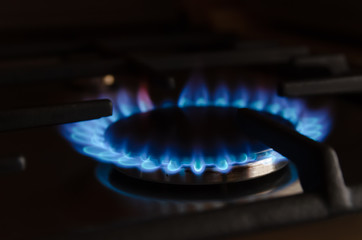 blue gas flame close up on the gas stove