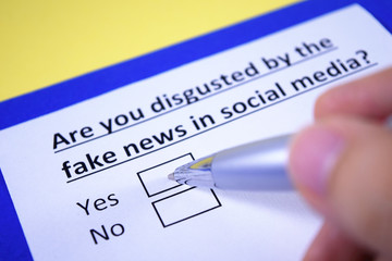 Are you disgusted by the fake news in social media? Yes or no?