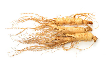  ginseng isolated on white background