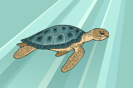 Sea turtle in the water. The rays of the sun break through the thickness of the water and fall on the tortoise casting shadows. Detailed freehand drawing. Cartoon image. Adult migratory turtle.