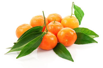 Group of ripe tangerines with green leaves
