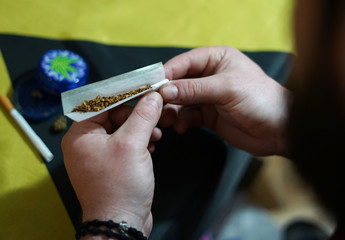 Man prepare joint . Jamaican flag.
