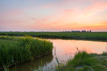 Clouds are colored pink and orange after the sun has set over the Dutch countryside. Tranquil scene with yellow wild flowers and reflections of the clouds in the calm water.