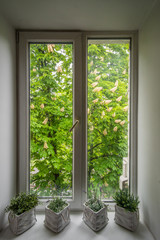 Fototapeta na wymiar View from the window in the forest. Cozy interior. View from home in a healthy environment.