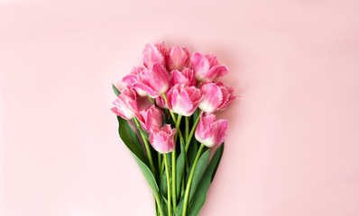 Closeup at beautiful bouquet of pink tulips at the centre of pink background, copy space, summer and mothers day concept.