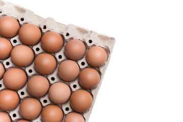 fresh organic egg in paper panel isolated on white background