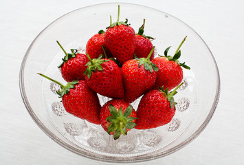 採りたての美味しいイチゴ