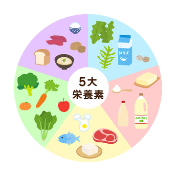 5大栄養素の日本語タイトルが入った円形の図