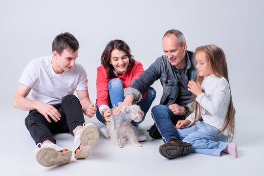 family plays with a dog on a light background on the floor