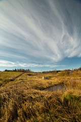 clouds landscape at summer day