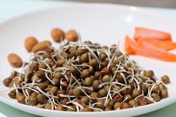 healthy summer salad with black pea sprouts, carrots and dry fruits, macrobiotic food