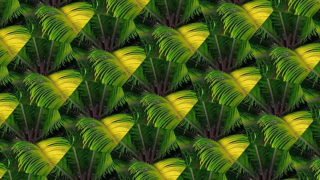 4K. Abstract kaleidoscopic detailed pattern with fresh green leaves. Animated summer floral background. Delicious visual textures for a perfect introduction.