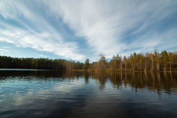 Pine forest landscape in Russia 