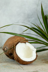 coconuts and palm leaves on textured stone background vertical