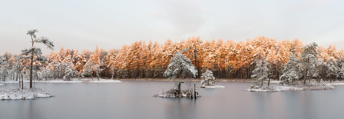 Winter sunrise and frozen marsh lake with small islands and frosty pine trees and frosted forest in the background