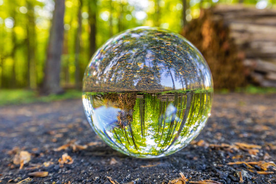 Glaskugel Lensball liegt im Wald Walt verdreht gesehen