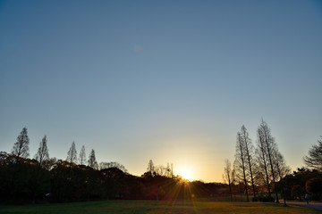 Fototapeta premium 夜明け