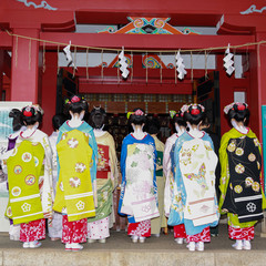 京都の舞妓さん、芸妓さん