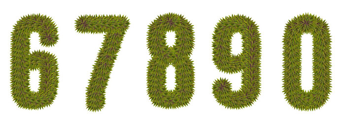 Numbers 6,7,8,9,0 made from natural leaves on a white isolated background. Natural font