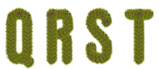 Letters Q,RS,T made from natural leaves on a white isolated background. Natural font