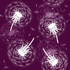 Pattern with dandelions maroon background white dandelions vector
