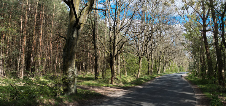 JAZDA DROGĄ W WIOSENNEGO DNIA
