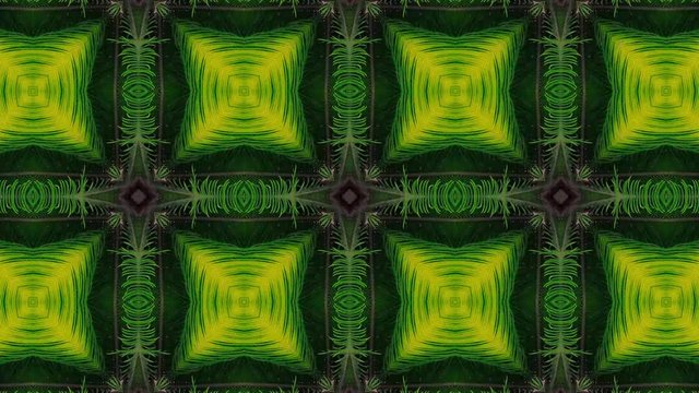 4K. Abstract kaleidoscopic detailed pattern with fresh green leaves. Animated summer floral background. Delicious visual textures for a perfect introduction.