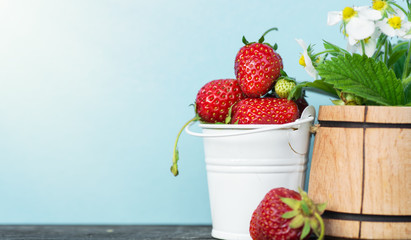 fresh strawberries in colored buckets