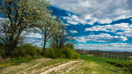 WZGÓRZE WIOSENNĄ PORĄ © RITHOR