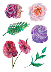 set of watercolor flowers and marshmallows