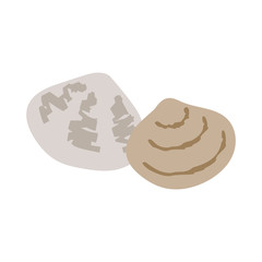 あさりのシンプルなベクターイラスト
