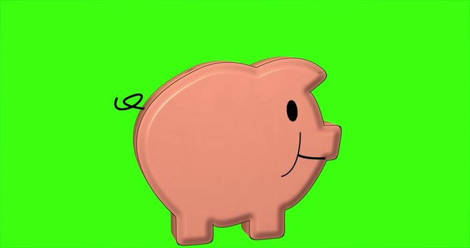 Gold coins fly into happy piggy bank that is getting fatter. Saving money. Greenscreen background, alpha.