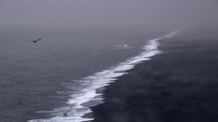 black beach landscape Iceland