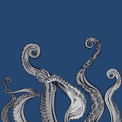 tentacles octopus drawing on blue background.  Hand drawn vector.