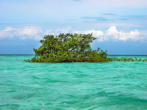 Philippine Islands, Beautiful Coast Of The Island Of Bohol, Snow-white Beach