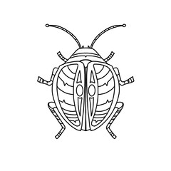 Coloring page with a beetle. 
Line art of a beetle. Bug tattoo.