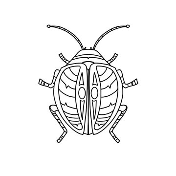 Coloring page with a beetle. 
Line art of a beetle. Bug tattoo.