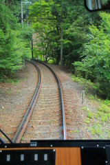 Fototapeta premium 緑のゆく道