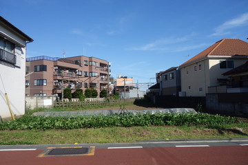 晴れた日の住宅街の畑