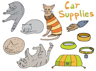 Outline cat supplies set. Hand drawn colorful vector illustration. Pet lounger, bowl, toy, collar, sweater and kittens in different poses for decoration, banners, print, cattery, veterinary, pet shop.