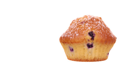Homemade blueberry cupcake.